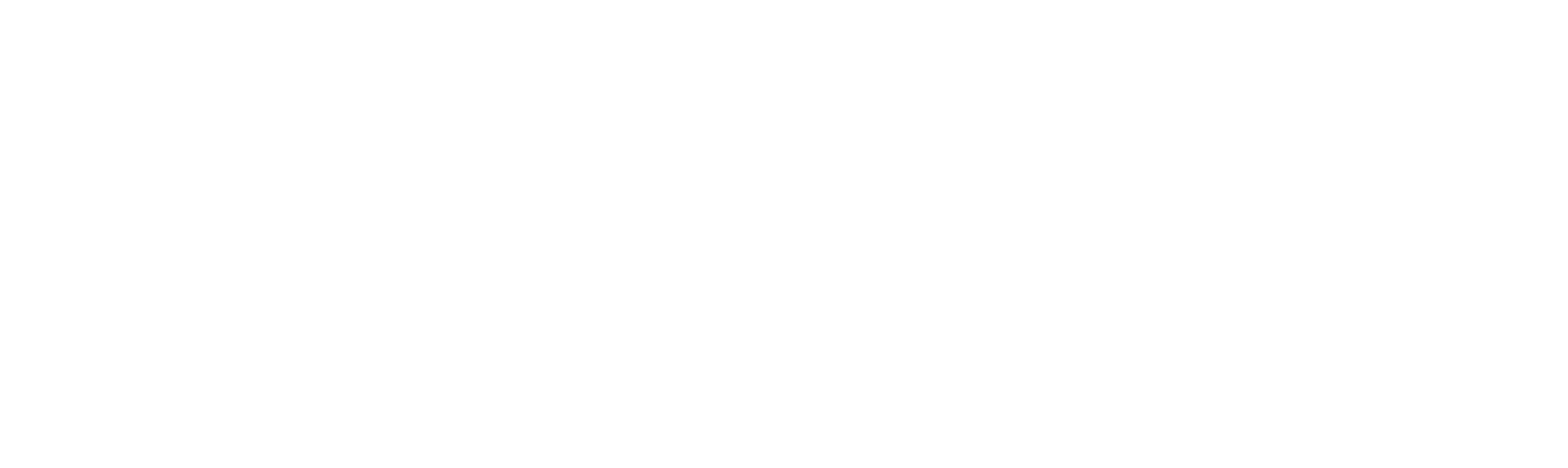 logo-sanmarco